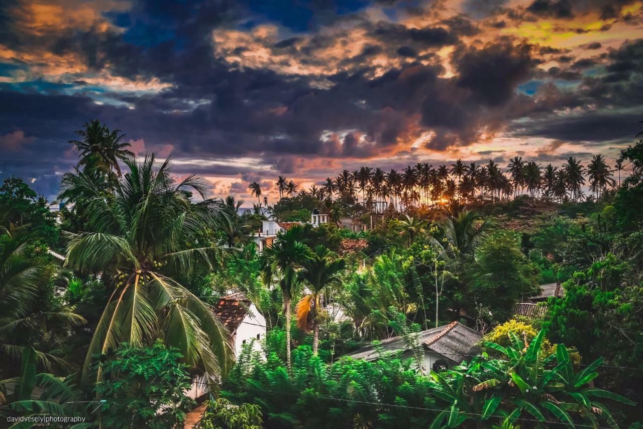 Dorian Guest House And Restaurant เวลิกามา ภายนอก รูปภาพ